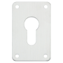 Aluminium