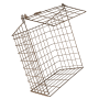 Brass