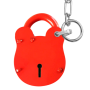 67mm ACL100C Padlock & Chain