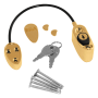 Polished Gold