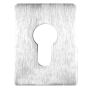 SS