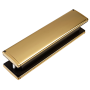 Gold & Black