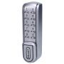 Silver Grey