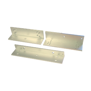 LZ300