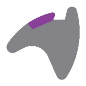 7.2mm