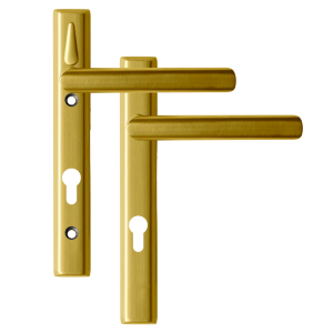Polished Gold