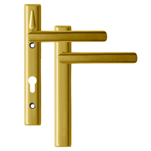 Polished Gold