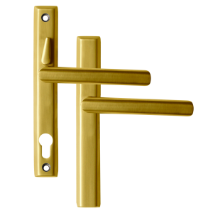 Polished Gold