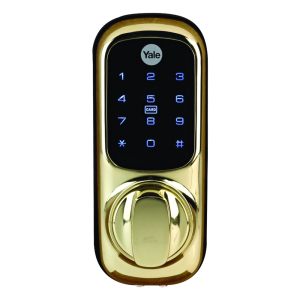 Polished Brass