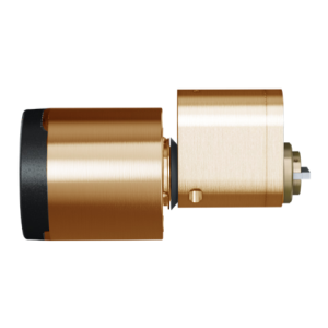 SKA External - Polished Brass