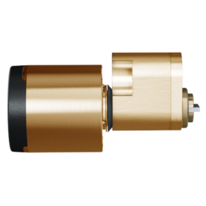 SKI Internal - Polished Brass