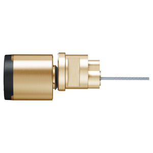 Polished Brass