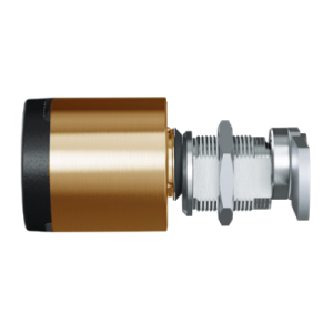 MB19 23mm Polished Brass