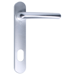 Silver (0401343)