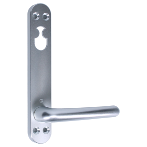 Silver (0401699)
